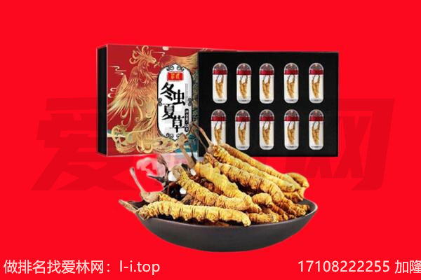 遵义余庆县回收虫草.jpg